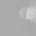 0000.png