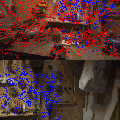 animation_tamiscan_superpoint_lightglue.gif